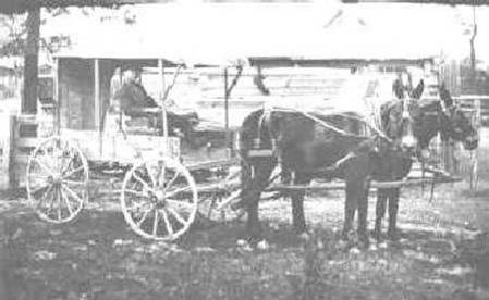 Alfordmail1