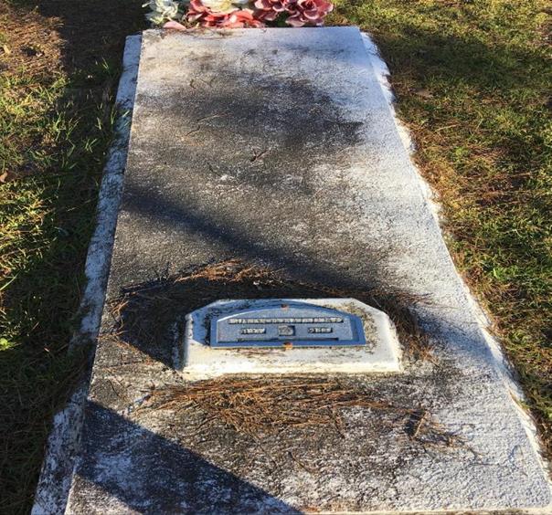 https://images.findagrave.com/photos/2017/299/177664599_1509143665.jpg